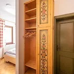 Berghi And Краньска Гора