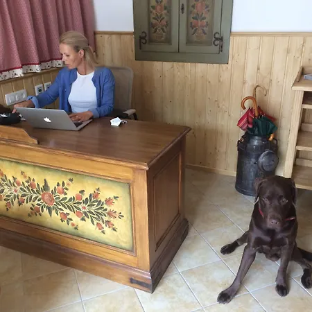 Aparthotel Berghi Hotel&apartments