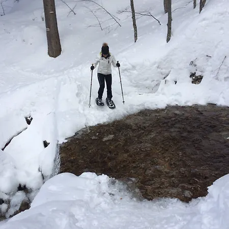 Berghi And 크라니스카고라