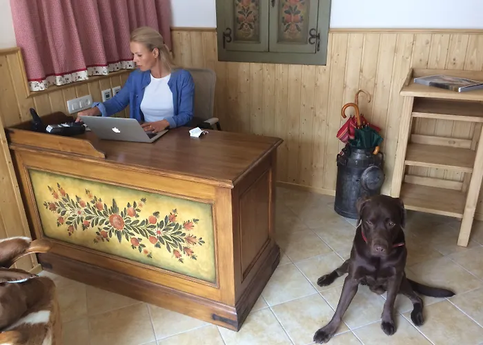 Aparthotel Berghi Hotel&apartments