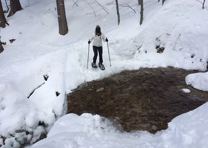 Berghi Hotel&apartments Kranjska Gora